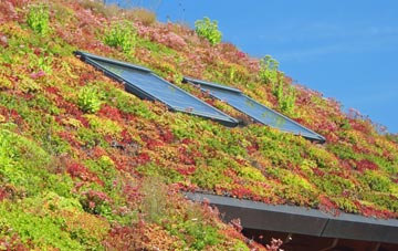 Winterfield living roof systems